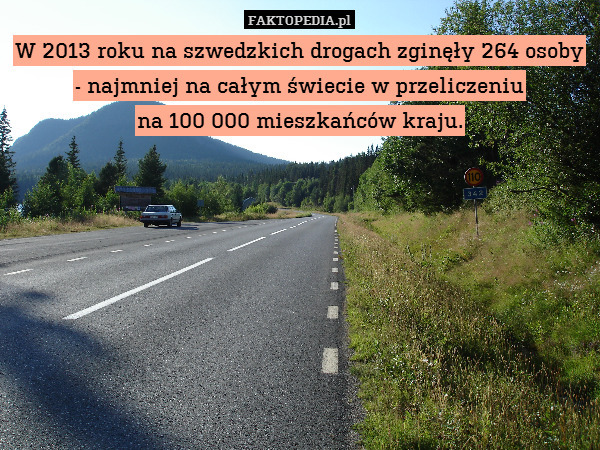 W 2013 roku na szwedzkich drogach zginęły 264 osoby - najmniej na całym świecie w przeliczeniu
na 100 000 mieszkańców kraju. 