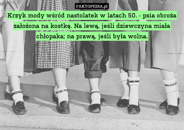 Krzyk mody wśród nastolatek w latach 50. - psia obroża założona na kostkę. Na lewą, jeśli dziewczyna miała chłopaka; na prawą, jeśli była wolna. 