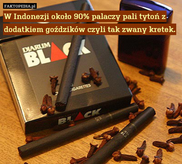 W Indonezji około 90% palaczy pali tytoń z dodatkiem goździków czyli tak zwany kretek. 