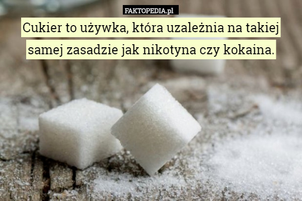 Cukier to używka, która uzależnia na takiej samej zasadzie jak nikotyna czy kokaina. 