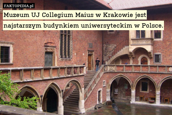 Muzeum UJ Collegium Maius w Krakowie jest najstarszym budynkiem uniwersyteckim w Polsce. 