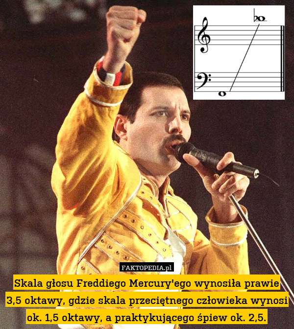 Skala głosu Freddiego Mercury&apos;ego wynosiła prawie 3,5 oktawy, gdzie skala przeciętnego człowieka wynosi ok. 1,5 oktawy, a praktykującego śpiew ok. 2,5. 