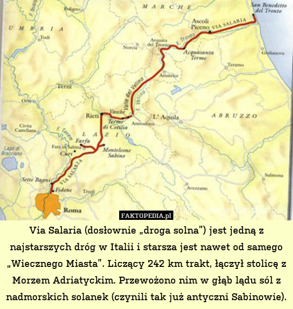 Via Salaria (dosłownie „droga solna”) jest jedną z najstarszych dróg w Italii i starsza jest nawet od samego „Wiecznego Miasta”. Liczący 242 km trakt, łączył stolicę z Morzem Adriatyckim. Przewożono nim w głąb lądu sól z nadmorskich solanek (czynili tak już antyczni Sabinowie). 