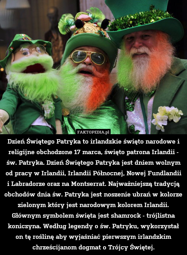 Dzień Świętego Patryka to irlandzkie święto narodowe i religijne obchodzone 17 marca, święto patrona Irlandii - św. Patryka. Dzień Świętego Patryka jest dniem wolnym od pracy w Irlandii, Irlandii Północnej, Nowej Fundlandii i Labradorze oraz na Montserrat. Najważniejszą tradycją obchodów dnia św. Patryka jest noszenie ubrań w kolorze zielonym który jest narodowym kolorem Irlandii. Głównym symbolem święta jest shamrock - trójlistna koniczyna. Według legendy o św. Patryku, wykorzystał on tę roślinę aby wyjaśniać pierwszym irlandzkim chrześcijanom dogmat o Trójcy Świętej. 