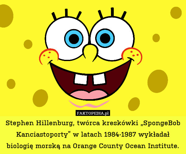 Stephen Hillenburg, twórca kreskówki „SpongeBob Kanciastoporty” w latach 1984-1987 wykładał biologię morską na Orange County Ocean Institute. 