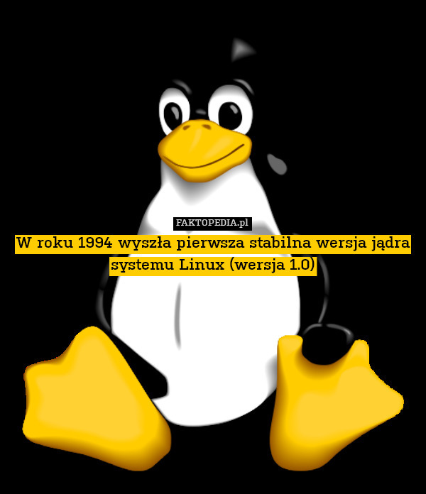 W roku 1994 wyszła pierwsza stabilna wersja jądra systemu Linux (wersja 1.0) 
