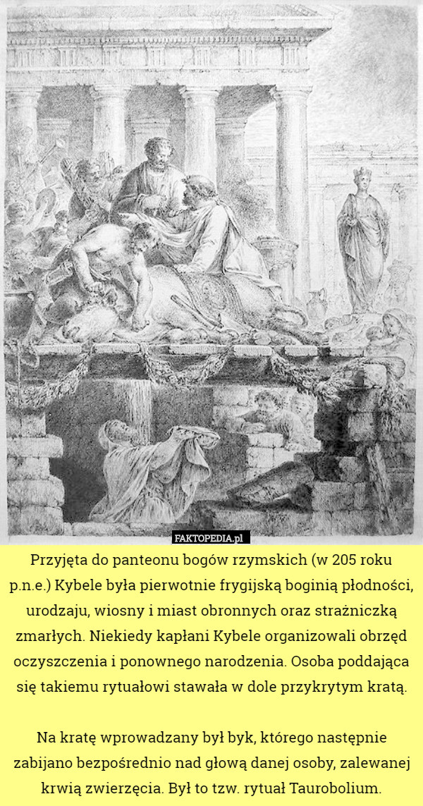 Przyjęta do panteonu bogów rzymskich (w 205 roku p.n.e.) Kybele była pierwotnie frygijską boginią płodności, urodzaju, wiosny i miast obronnych oraz strażniczką zmarłych. Niekiedy kapłani Kybele organizowali obrzęd oczyszczenia i ponownego narodzenia. Osoba poddająca się takiemu rytuałowi stawała w dole przykrytym kratą.

Na kratę wprowadzany był byk, którego następnie zabijano bezpośrednio nad głową danej osoby, zalewanej krwią zwierzęcia. Był to tzw. rytuał Taurobolium. 