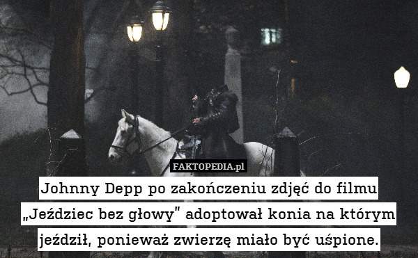 Johnny Depp po zakończeniu zdjęć do filmu „Jeździec bez głowy” adoptował konia na którym jeździł, ponieważ zwierzę miało być uśpione. 