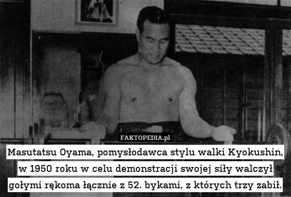 Masutatsu Oyama, pomysłodawca stylu walki Kyokushin, w 1950 roku w celu demonstracji swojej siły walczył gołymi rękoma łącznie z 52. bykami, z których trzy zabił. 