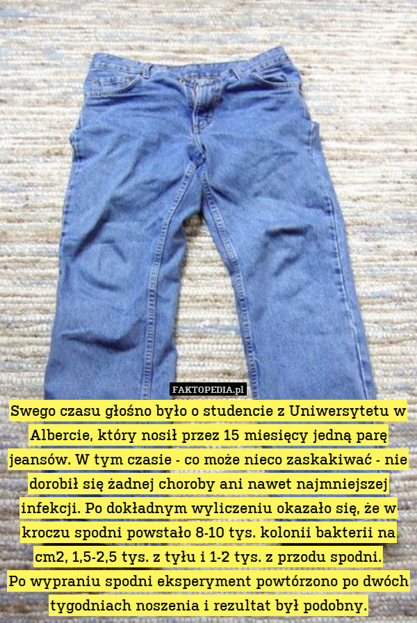 Swego czasu głośno było o studencie z Uniwersytetu w Albercie, który nosił przez 15 miesięcy jedną parę jeansów. W tym czasie - co może nieco zaskakiwać - nie dorobił się żadnej choroby ani nawet najmniejszej infekcji. Po dokładnym wyliczeniu okazało się, że w kroczu spodni powstało 8-10 tys. kolonii bakterii na cm2, 1,5-2,5 tys. z tyłu i 1-2 tys. z przodu spodni.
Po wypraniu spodni eksperyment powtórzono po dwóch tygodniach noszenia i rezultat był podobny. 