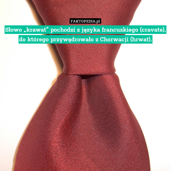 Słowo „krawat” pochodzi z języka francuskiego (cravate), do którego przywędrowało z Chorwacji (hrwat). 