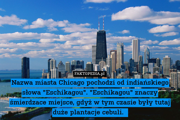 Nazwa miasta Chicago pochodzi od indiańskiego słowa "Eschikagou". "Eschikagou" znaczy śmierdzace miejsce, gdyż w tym czasie były tutaj duże plantacje cebuli. 