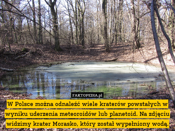 W Polsce można odnaleźć wiele kraterów powstałych w wyniku uderzenia meteoroidów lub planetoid. Na zdjęciu widzimy krater Morasko, który został wypełniony wodą. 