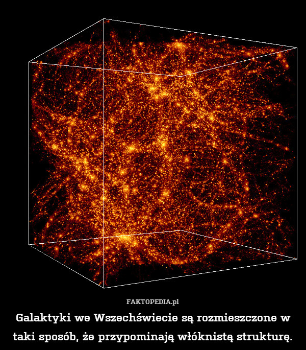 Galaktyki we Wszechświecie są rozmieszczone w taki sposób, że przypominają włóknistą strukturę. 