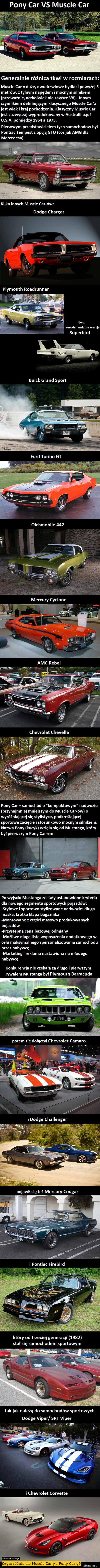 Czym różnią się Muscle Car-y i Pony Car-y? 