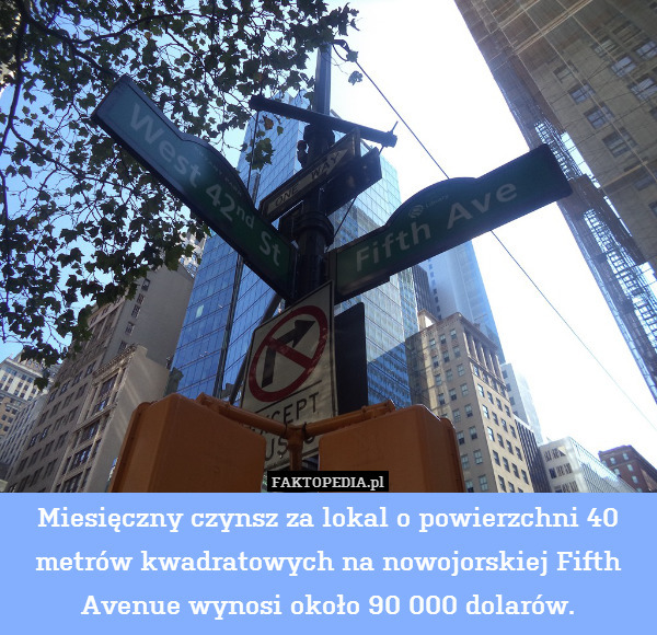 Miesięczny czynsz za lokal o powierzchni 40 metrów kwadratowych na nowojorskiej Fifth Avenue wynosi około 90 000 dolarów. 