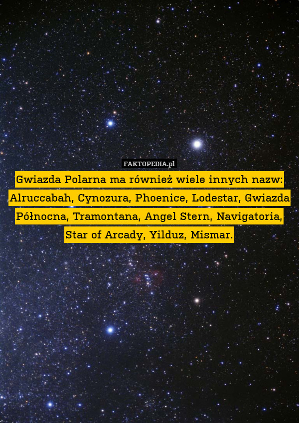 Gwiazda Polarna ma również wiele innych nazw: Alruccabah, Cynozura, Phoenice, Lodestar, Gwiazda Północna, Tramontana, Angel Stern, Navigatoria, Star of Arcady, Yilduz, Mismar. 