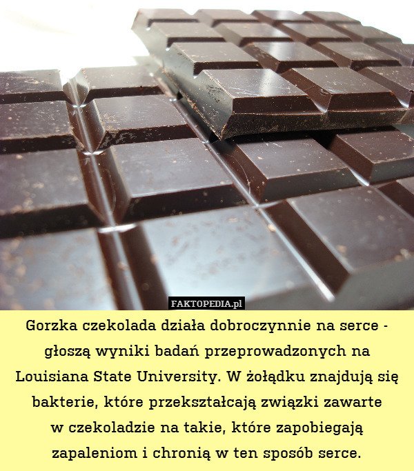 Gorzka czekolada działa dobroczynnie na serce - głoszą wyniki badań przeprowadzonych na Louisiana State University. W żołądku znajdują się bakterie, które przekształcają związki zawarte
w czekoladzie na takie, które zapobiegają zapaleniom i chronią w ten sposób serce. 