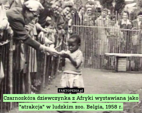 Czarnoskóra dziewczynka z Afryki wystawiana jako "atrakcja" w ludzkim zoo. Belgia, 1958 r. 