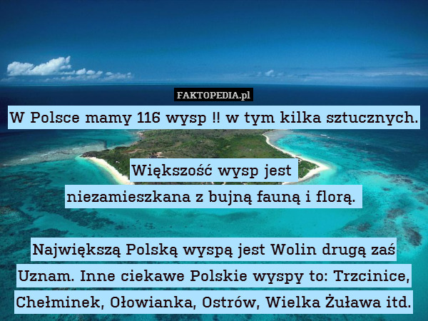 W Polsce mamy 116 wysp !! w tym kilka sztucznych. 

Większość wysp jest 
niezamieszkana z bujną fauną i florą. 

Największą Polską wyspą jest Wolin drugą zaś Uznam. Inne ciekawe Polskie wyspy to: Trzcinice, Chełminek, Ołowianka, Ostrów, Wielka Żuława itd. 