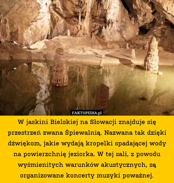 W jaskini Bielskiej na Słowacji znajduje się przestrzeń zwana Śpiewalnią. Nazwana tak dzięki dźwiękom, jakie wydają kropelki spadającej wody na powierzchnię jeziorka. W tej sali, z powodu wyśmienitych warunków akustycznych, są organizowane koncerty muzyki poważnej. 