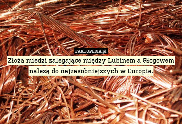 Złoża miedzi zalegające między Lubinem a Głogowem należą do najzasobniejszych w Europie. 