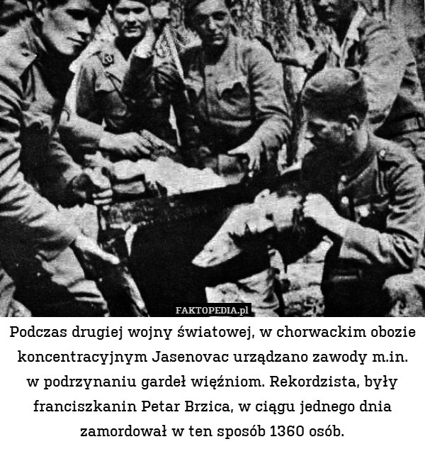 Podczas drugiej wojny światowej, w chorwackim obozie koncentracyjnym Jasenovac urządzano zawody m.in.
w podrzynaniu gardeł więźniom. Rekordzista, były franciszkanin Petar Brzica, w ciągu jednego dnia zamordował w ten sposób 1360 osób. 