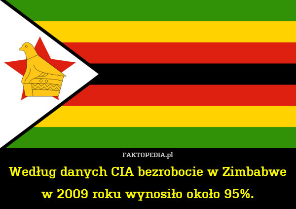 Według danych CIA bezrobocie w Zimbabwe w 2009 roku wynosiło około 95%. 