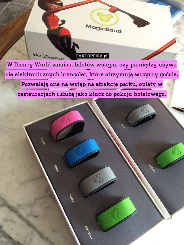 W Disney World zamiast biletów wstępu, czy pieniędzy używa się elektronicznych bransolet, które otrzymują wszyscy goście. Pozwalają one na wstęp na atrakcje parku, opłaty w restauracjach i służą jako klucz do pokoju hotelowego. 