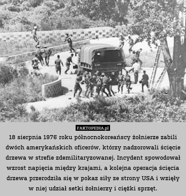18 sierpnia 1976 roku północnokoreańscy żołnierze zabili dwóch amerykańskich oficerów, którzy nadzorowali ścięcie drzewa w strefie zdemilitaryzowanej. Incydent spowodował wzrost napięcia między krajami, a kolejna operacja ścięcia drzewa przerodziła się w pokaz siły ze strony USA i wzięły w niej udział setki żołnierzy i ciężki sprzęt. 
