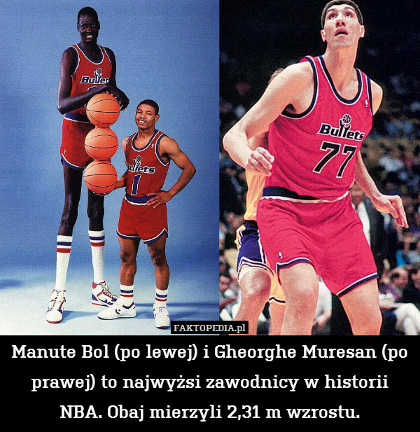 Manute Bol (po lewej) i Gheorghe Muresan (po prawej) to najwyżsi zawodnicy w historii NBA. Obaj mierzyli 2,31 m wzrostu. 