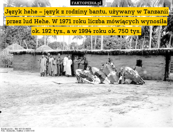 Język hehe – język z rodziny bantu, używany w Tanzanii przez lud Hehe. W 1971 roku liczba mówiących wynosiła ok. 192 tys., a w 1994 roku ok. 750 tys. 