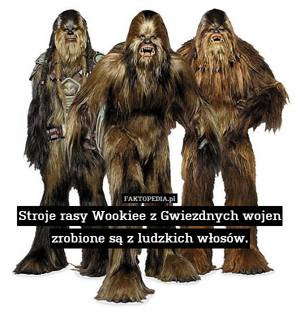 Stroje rasy Wookiee z Gwiezdnych wojen
zrobione są z ludzkich włosów. 