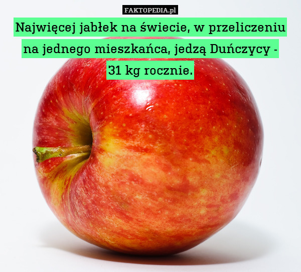 Najwięcej jabłek na świecie, w przeliczeniu
na jednego mieszkańca, jedzą Duńczycy -
31 kg rocznie. 