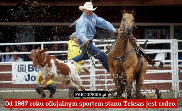 Od 1997 roku oficjalnym sportem stanu Teksas jest rodeo. 