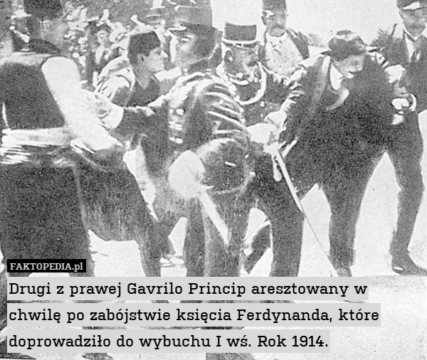 Drugi z prawej Gavrilo Princip aresztowany w chwilę po zabójstwie księcia Ferdynanda, które doprowadziło do wybuchu I wś. Rok 1914. 