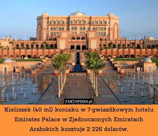 Kieliszek (40 ml) koniaku w 7-gwiazdkowym hotelu Emirates Palace w Zjednoczonych Emiratach Arabskich kosztuje 2 226 dolarów. 
