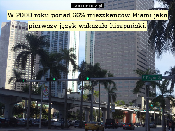 W 2000 roku ponad 66% mieszkańców Miami jako pierwszy język wskazało hiszpański. 