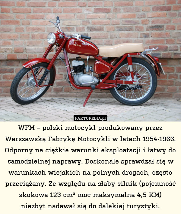 WFM – polski motocykl produkowany przez Warszawską Fabrykę Motocykli w latach 1954-1966.
Odporny na ciężkie warunki eksploatacji i łatwy do samodzielnej naprawy. Doskonale sprawdzał się w warunkach wiejskich na polnych drogach, często przeciążany. Ze względu na słaby silnik (pojemność skokowa 123 cm³ moc maksymalna 4,5 KM)
niezbyt nadawał się do dalekiej turystyki. 