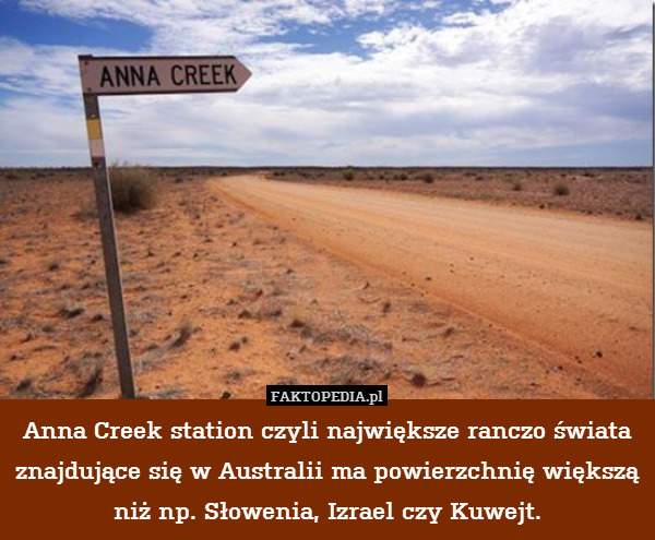 Anna Creek station czyli największe ranczo świata znajdujące się w Australii ma powierzchnię większą niż np. Słowenia, Izrael czy Kuwejt. 