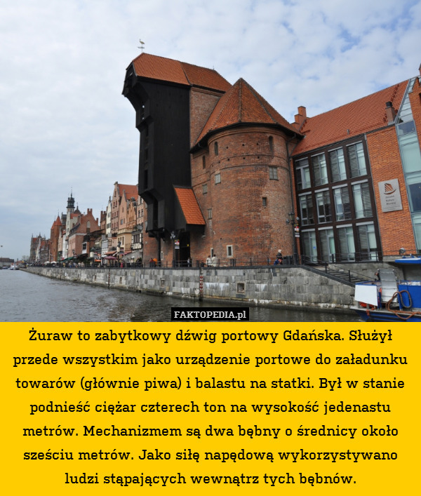 Żuraw to zabytkowy dźwig portowy Gdańska. Służył przede wszystkim jako urządzenie portowe do załadunku towarów (głównie piwa) i balastu na statki. Był w stanie podnieść ciężar czterech ton na wysokość jedenastu metrów. Mechanizmem są dwa bębny o średnicy około sześciu metrów. Jako siłę napędową wykorzystywano ludzi stąpających wewnątrz tych bębnów. 