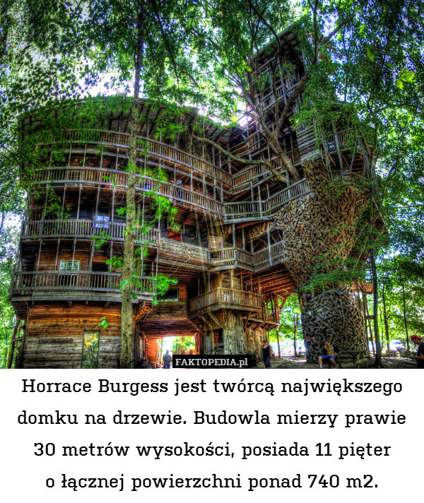 Horrace Burgess jest twórcą największego domku na drzewie. Budowla mierzy prawie 30 metrów wysokości, posiada 11 pięter
o łącznej powierzchni ponad 740 m2. 