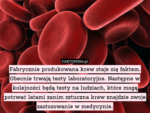 Fabrycznie produkowana krew staje się faktem. Obecnie trwają testy laboratoryjne. Następne w kolejności będą testy na ludziach, które mogą potrwać latami zanim sztuczna krew znajdzie swoje zastosowanie w medycynie. 