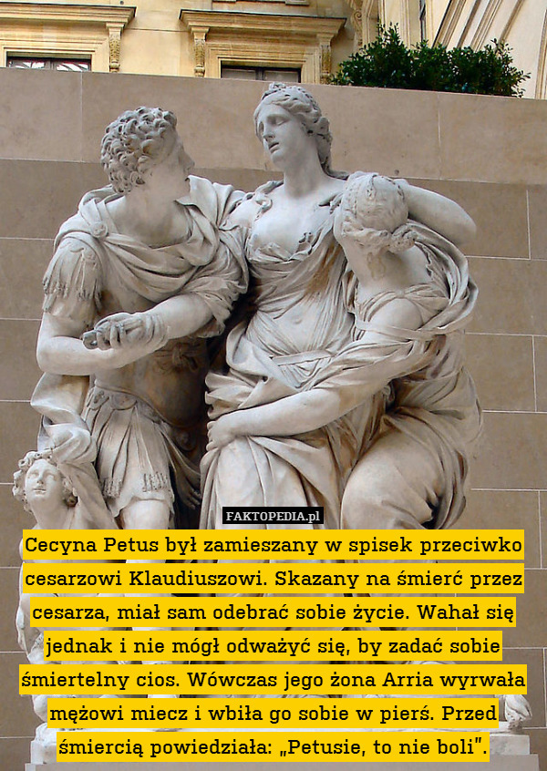 Cecyna Petus był zamieszany w spisek przeciwko cesarzowi Klaudiuszowi. Skazany na śmierć przez cesarza, miał sam odebrać sobie życie. Wahał się jednak i nie mógł odważyć się, by zadać sobie śmiertelny cios. Wówczas jego żona Arria wyrwała mężowi miecz i wbiła go sobie w pierś. Przed śmiercią powiedziała: „Petusie, to nie boli”. 
