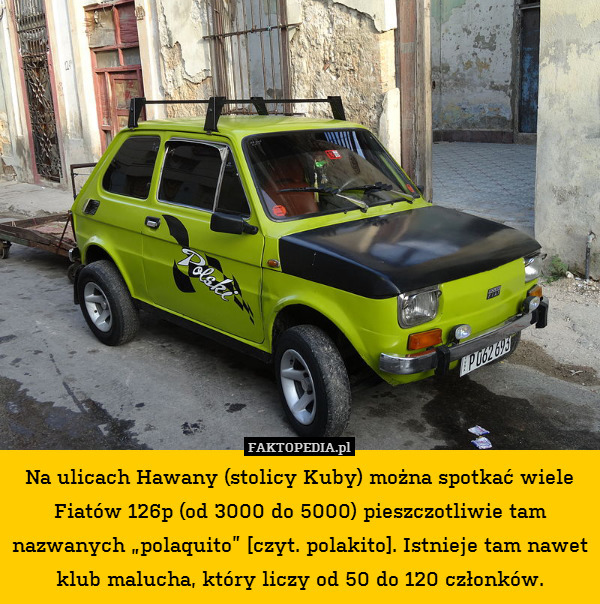 Na ulicach Hawany (stolicy Kuby) można spotkać wiele Fiatów 126p (od 3000 do 5000) pieszczotliwie tam nazwanych „polaquito” [czyt. polakito]. Istnieje tam nawet klub malucha, który liczy od 50 do 120 członków. 