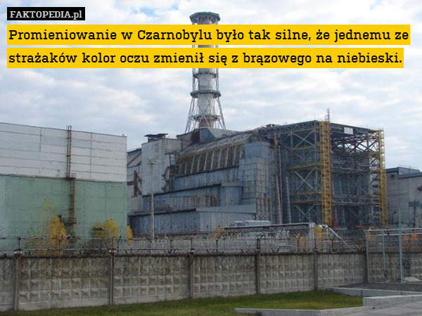 Promieniowanie w Czarnobylu było tak silne, że jednemu ze strażaków kolor oczu zmienił się z brązowego na niebieski. 