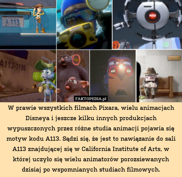 W prawie wszystkich filmach Pixara, wielu animacjach Disneya i jeszcze kilku innych produkcjach wypuszczonych przez różne studia animacji pojawia się motyw kodu A113. Sądzi się, że jest to nawiązanie do sali A113 znajdującej się w California Institute of Arts, w której uczyło się wielu animatorów porozsiewanych dzisiaj po wspomnianych studiach filmowych. 