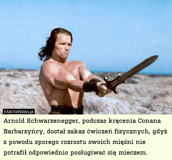 Arnold Schwarzenegger, podczas kręcenia Conana Barbarzyńcy, dostał zakaz ćwiczeń fizycznych, gdyż z powodu sporego rozrostu swoich mięśni nie potrafił odpowiednio posługiwać się mieczem. 