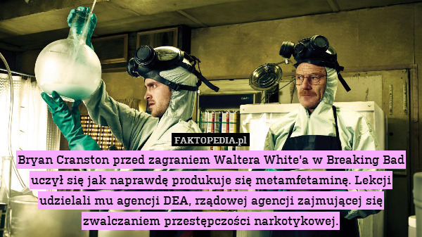 Bryan Cranston przed zagraniem Waltera White&apos;a w Breaking Bad uczył się jak naprawdę produkuje się metamfetaminę. Lekcji udzielali mu agencji DEA, rządowej agencji zajmującej się zwalczaniem przestępczości narkotykowej. 