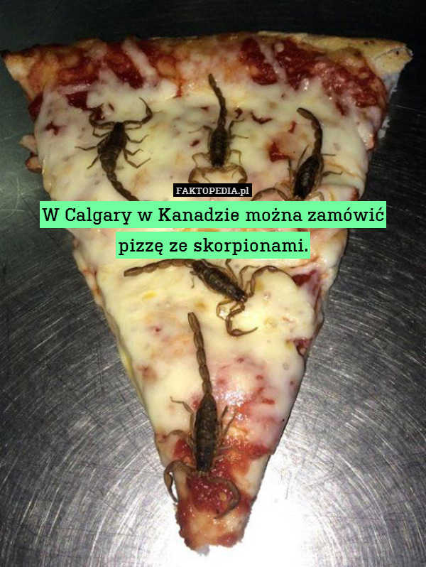 W Calgary w Kanadzie można zamówić
pizzę ze skorpionami. 
